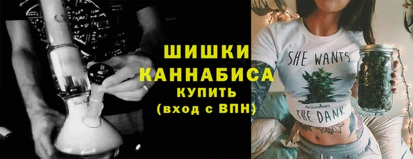 соль ск Кукмор