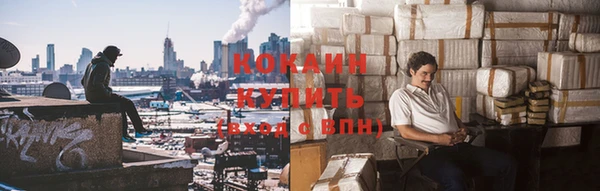 соль ск Кукмор