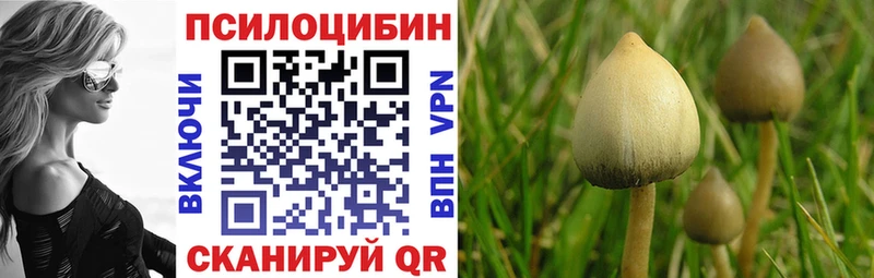 Галлюциногенные грибы Magic Shrooms  Купить закладки  Котельники 